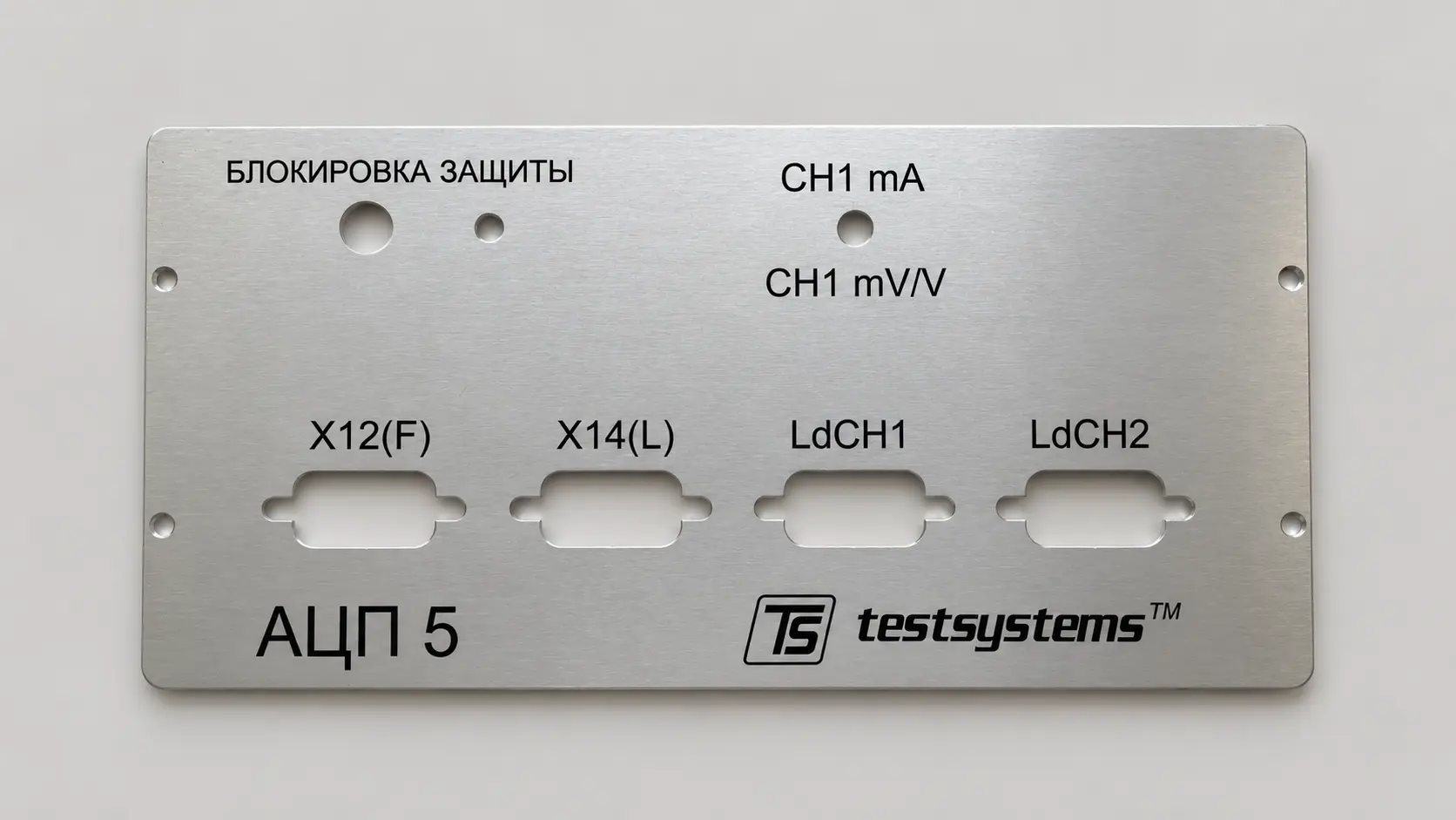 Приборная панель Testsystems с отверстиями под разъёмы и обозначениями
